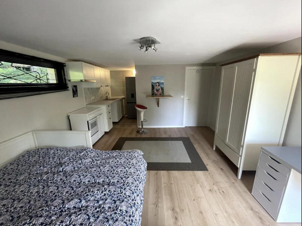 Quiet Studio In A House In Sevrier Annecy Lake Very Close To The Lake Exteriér fotografie